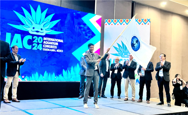 https://img2.danews.cc/upload/ajax/phpGp8FP8 https://img2.danews.cc/upload/ajax/phpGp8FP8